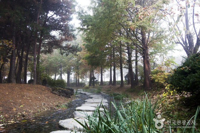 세미원 사진6