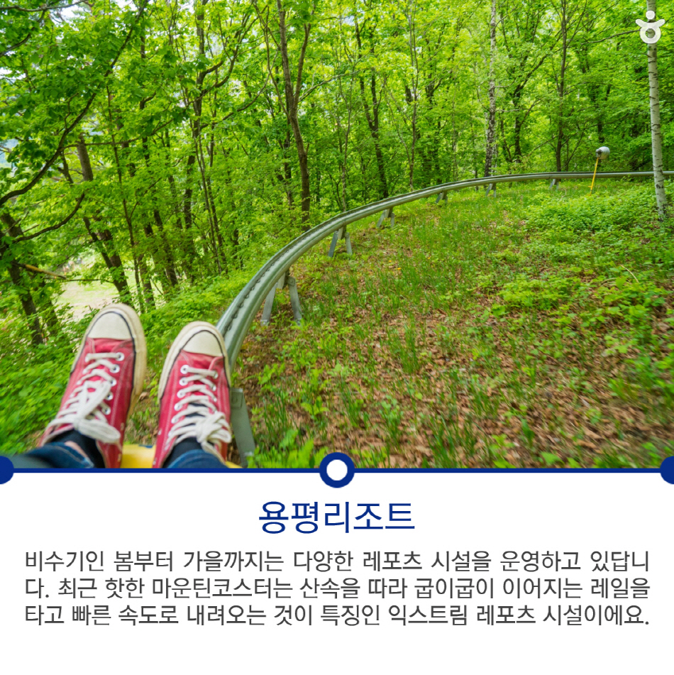 비수기인 봄부터 가을까지는 다양한 레포츠 시설을 운영하고 있답니다. 최근 핫한 마운틴코스터는 산속을 따라 굽이굽이 이어지는 레일을 타고 빠른 속도로 내려오는 것이 특징인 익스트림 레포츠 시설이에요.