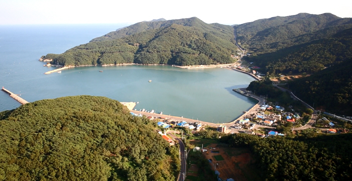 Field of Reeds on Deokjeokdo Island (덕적도 갈대 군락지)