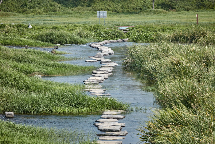 Río Tamjingang (탐진강)