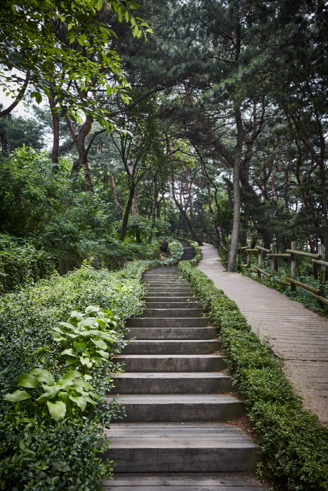 thumbnail-Namsan Outdoor Botanical Garden (남산 야외식물원)-21