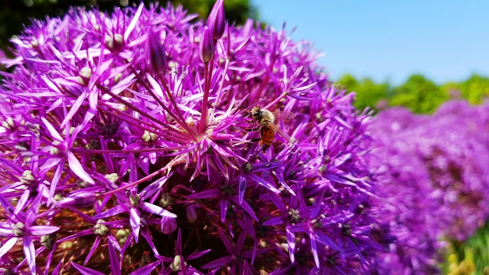 태안 알리움 공원 20200