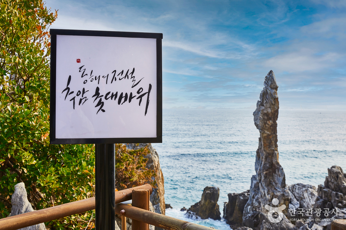 삼양라운드힐 (구, 대관령 삼양목장)5