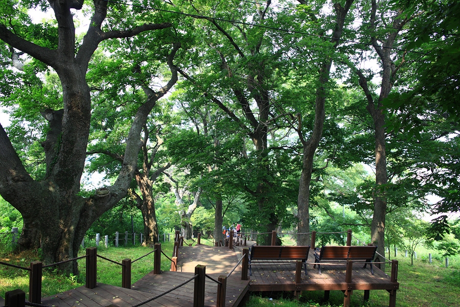 Supjaengi Garden (숲쟁이공원)