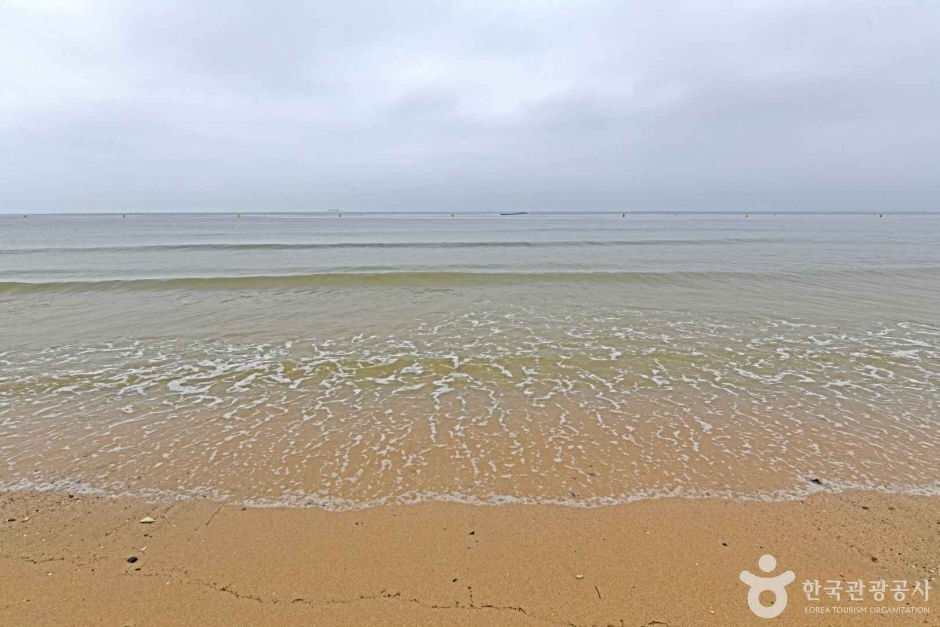 보령 해수욕장 관광특구