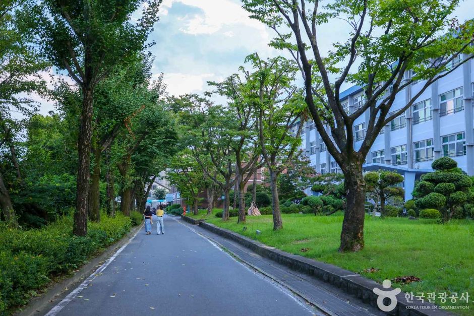 수피아여자중고등학교