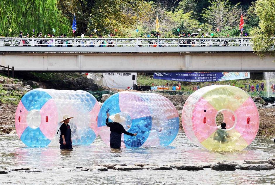 Festival Wild & Local Food de Wanju (완주 와일드&로컬푸드축제)