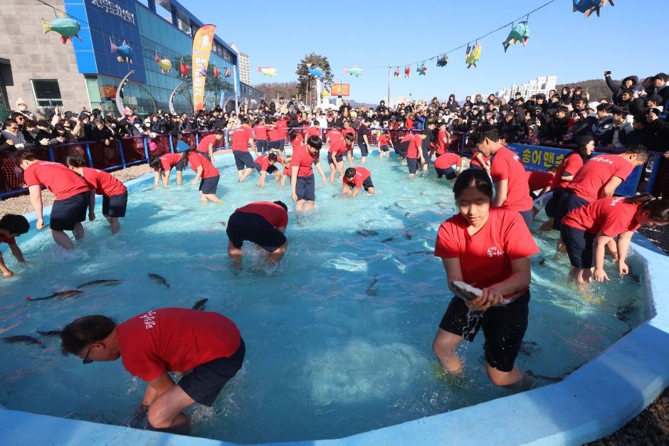 평창송어축제