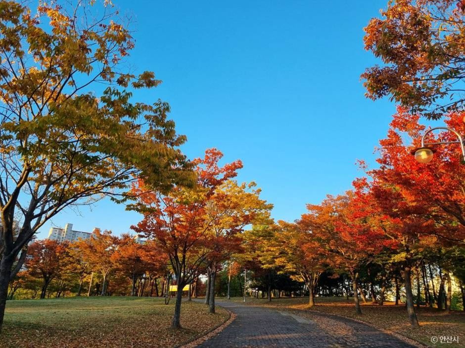 안산_안산호수공원_10