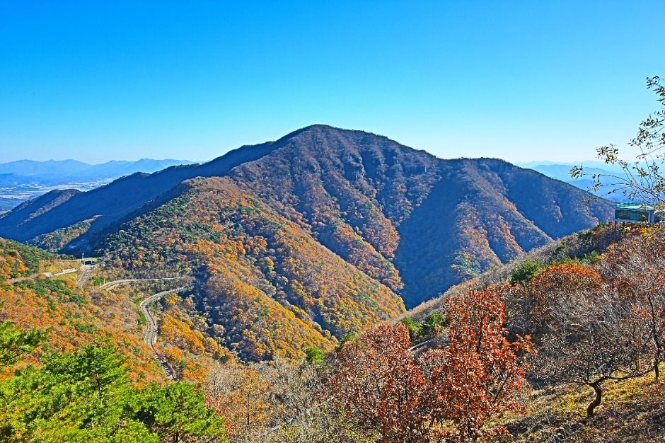 자굴산