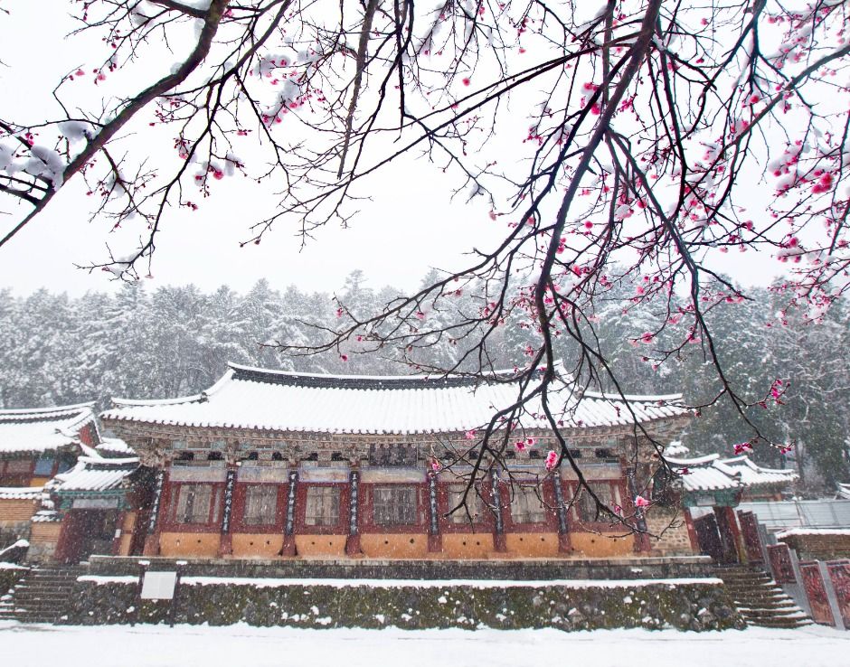 옥천사(고성)