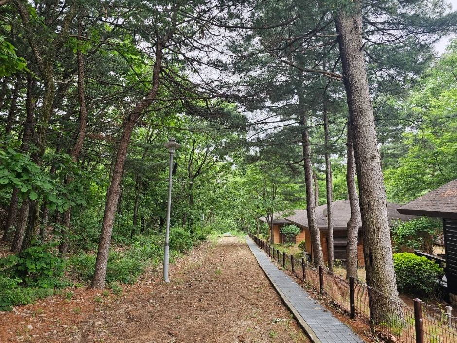 thumbnail-천보산 자연휴양림-16