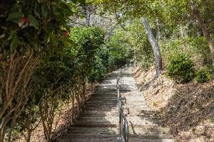 부산_부산 암남공원 (8)