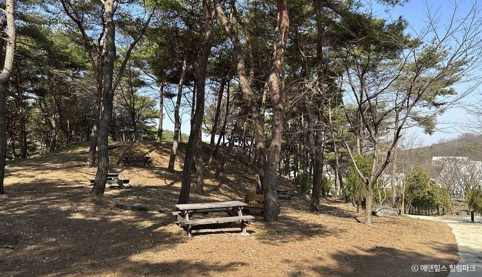 에덴힐스 힐링파크