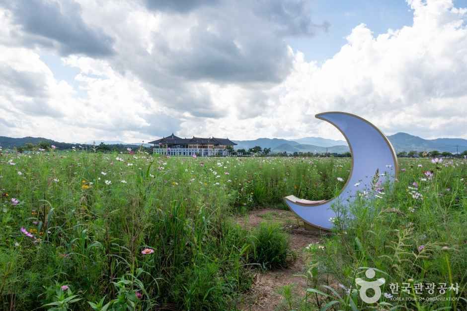 황룡사역사문화관 (1)