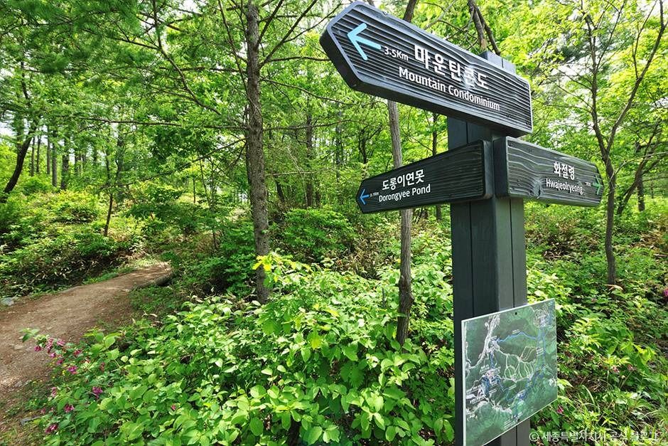 도롱이연못