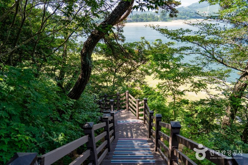 배알도 섬 정원