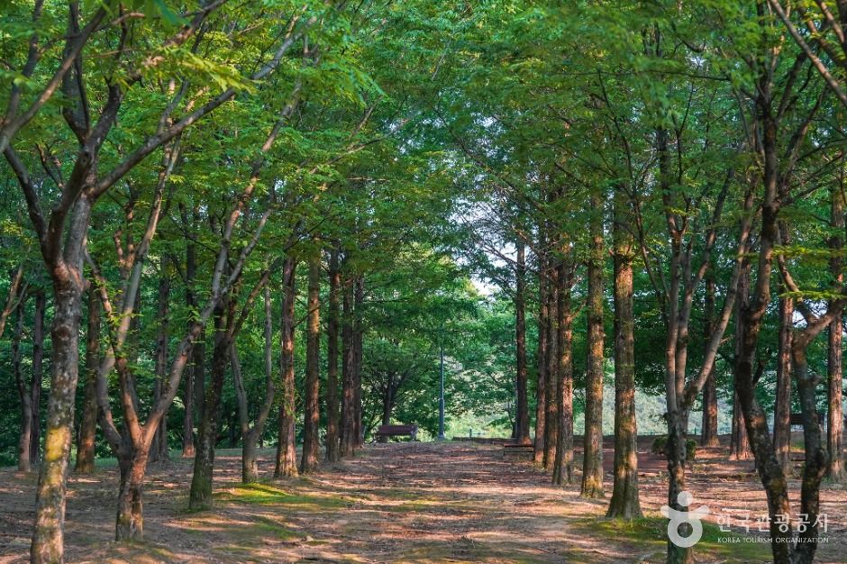 옻골동산