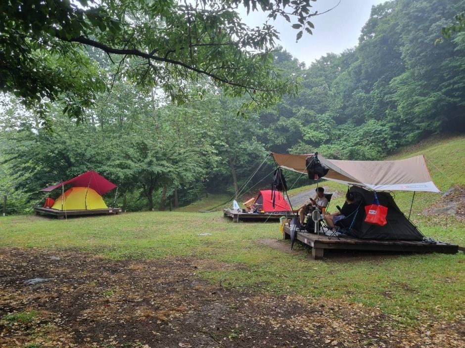 인천_함허동천야영장 (2)