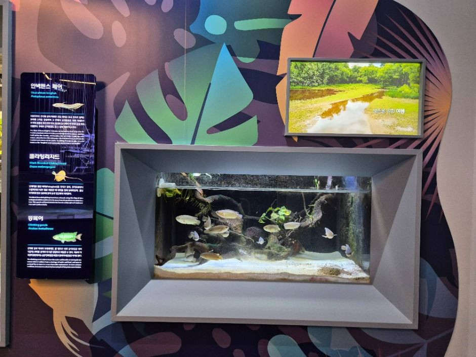 단양 다누리아쿠아리움