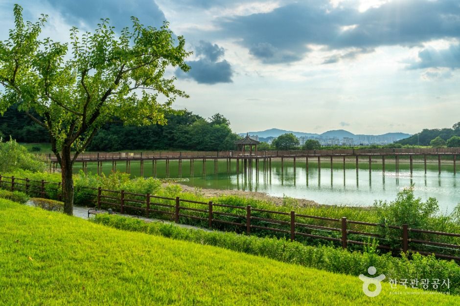 thumbnail-행구수변공원-4