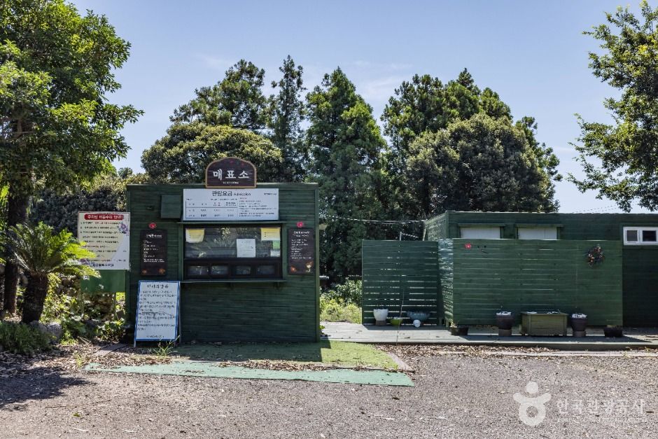 위미동백나무군락