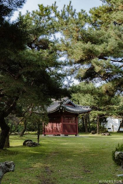 아산 가볼만한곳 피나클랜드 곡교천 은행나무길 천안 근교 여행 코스_온양민속박물관_2-7