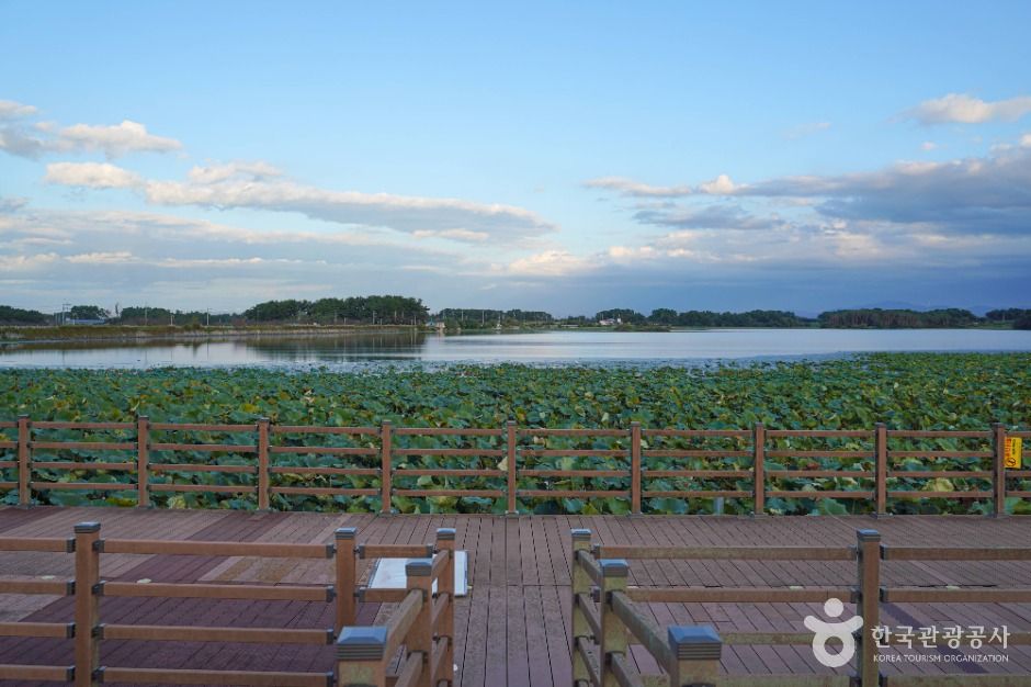 김제_능제저수지 (1)