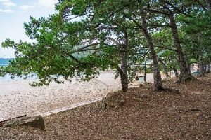 해남_해남 송호리 해송림 (6)