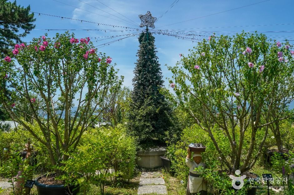 창원_진해보타닉뮤지엄 (3)