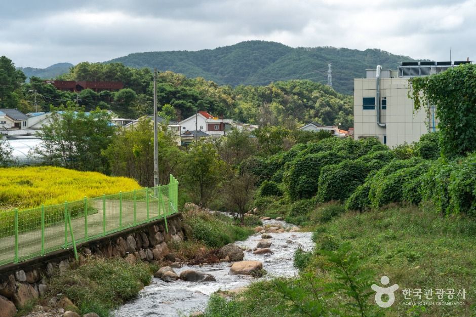 대구_[대구올레 팔공산 1코스] 북지장사 가는길 (2)
