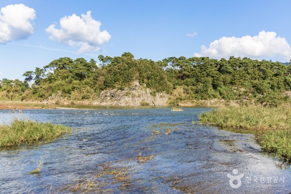 괴산 고산정 및 제월대