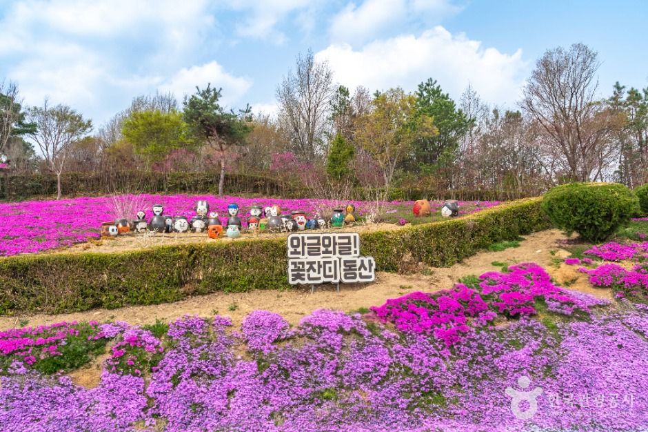 진안 꽃잔디동산