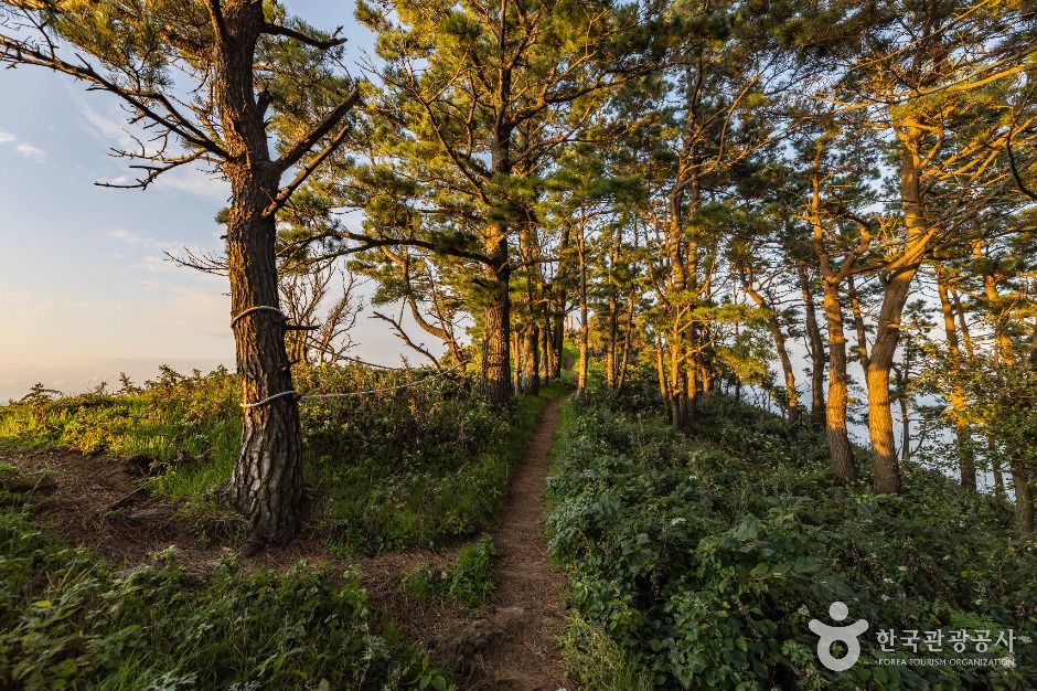 태하 해안산책로 및 대풍감 (울릉도, 독도 국가지질공원)