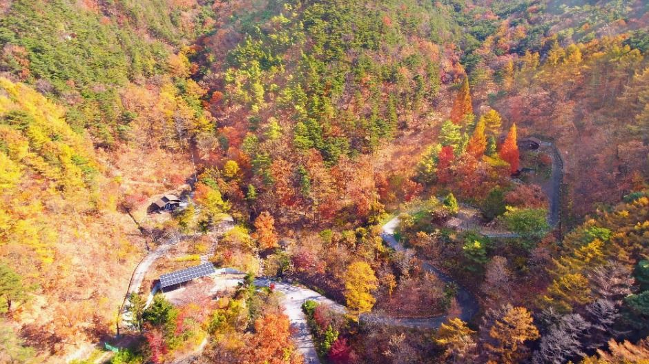 국립속리산말티재자연휴양림