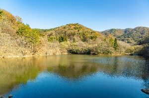 화순_세량지 (8)