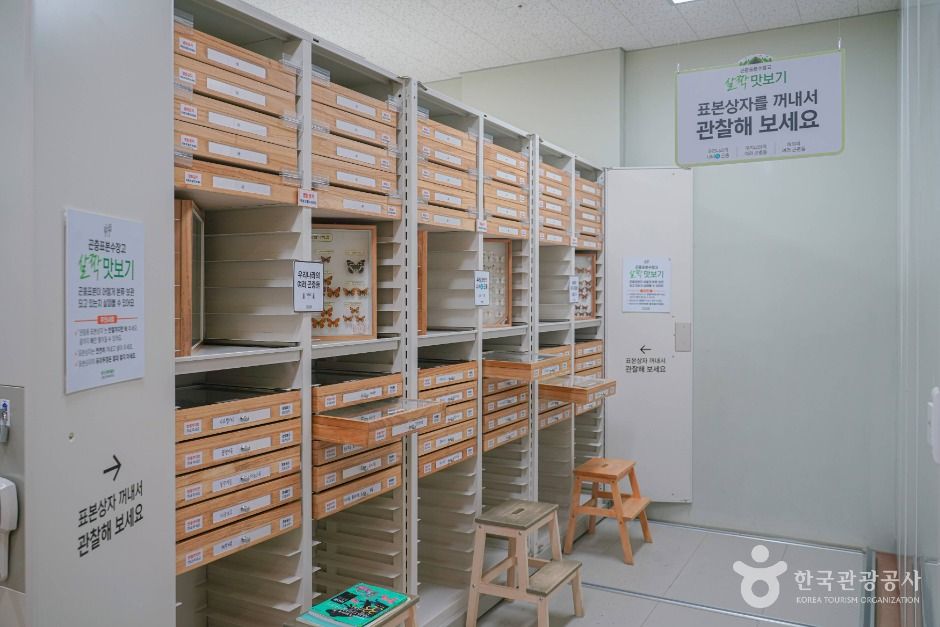 용인 곤충테마파크