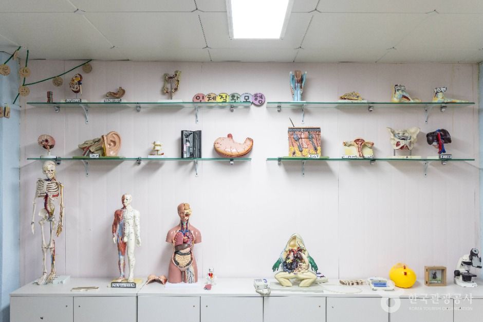 서울_한생연 생명과학박물관 (5)