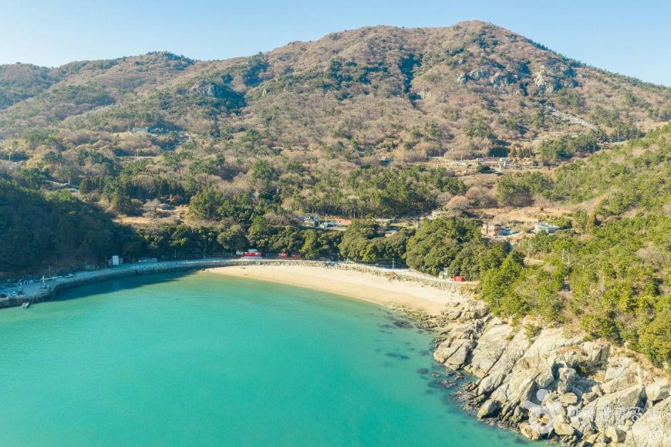 완도_가사동백숲해변 (3)