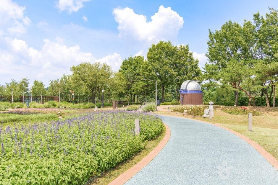 thumbnail-일자산 허브천문공원-2