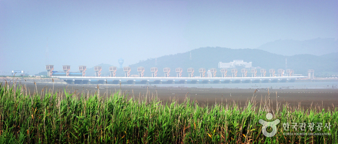 Geumgang Estuary Bir...