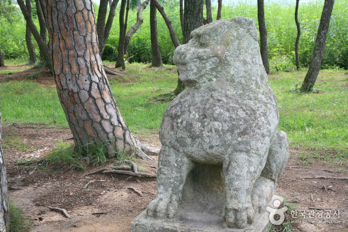La tombe Gwaereung Gyeongju (경주 원성왕릉)