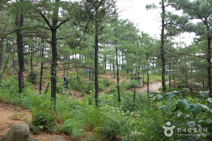 용봉산자연휴양림7