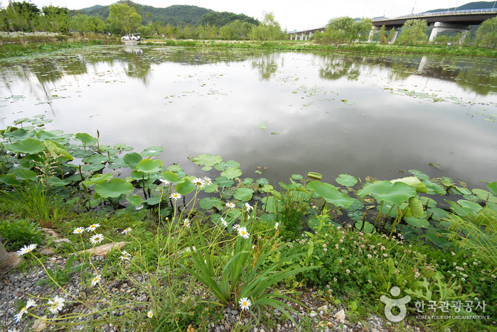 세미원 사진27