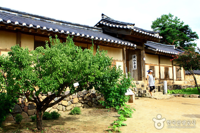 Andong Hahoe Village [UNESCO World Heritage] (안동 하회마을)