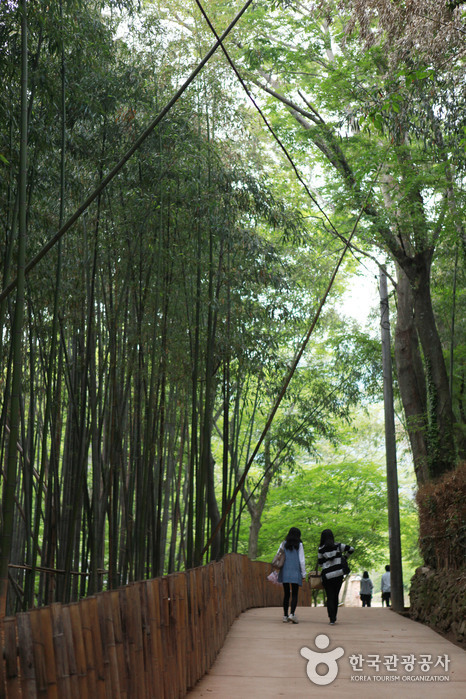 Soswaewon Garden (담양 소쇄원)