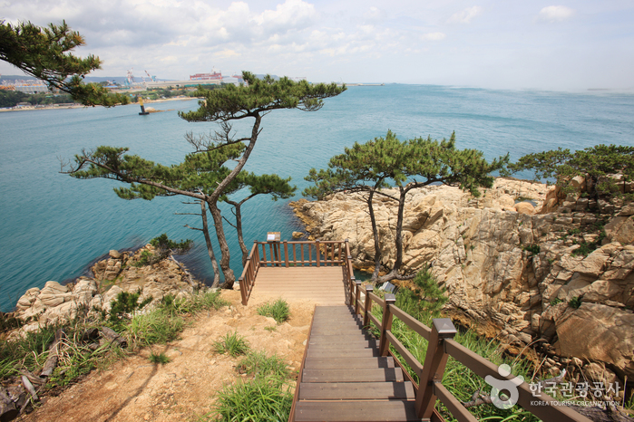 Daewangam Park (대왕암공원)
