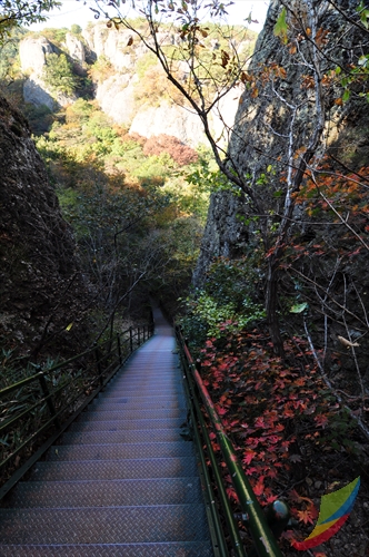 선운산도립공원 사진15