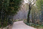대나무골 테마공원