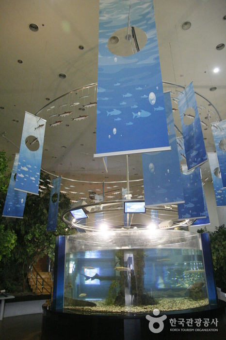 섬진강어류생태관1